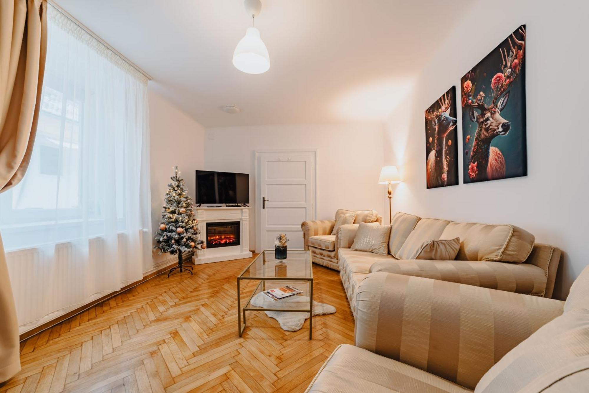 Anastasia Apartments With Parking ブラショフ エクステリア 写真
