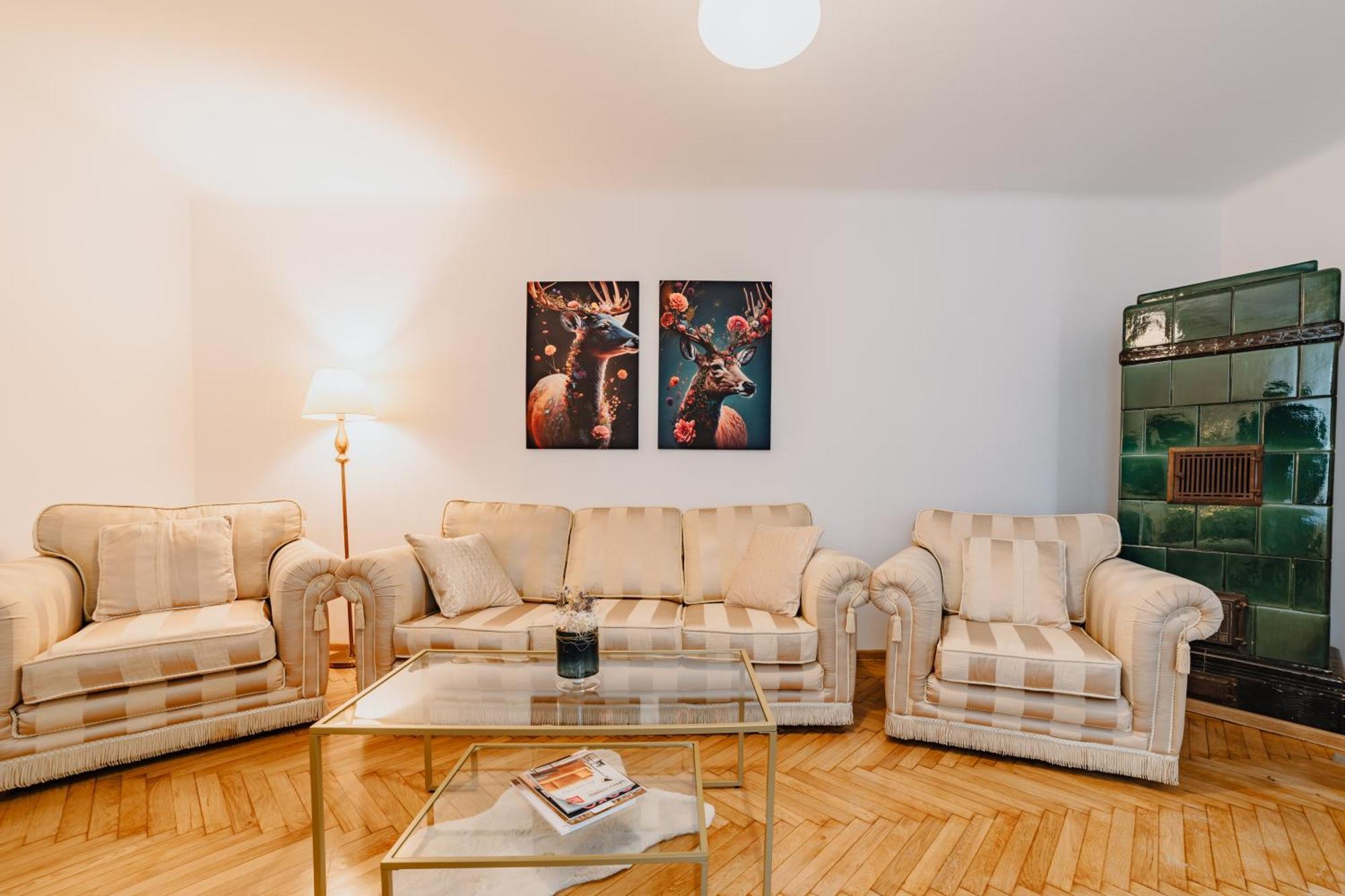 Anastasia Apartments With Parking ブラショフ エクステリア 写真